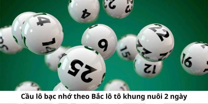 Cách nuôi lô 3 ngày được đánh giá cao