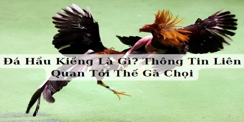 da hau kieng da hau kieng la gi thong tin lien quan ve the ga choi